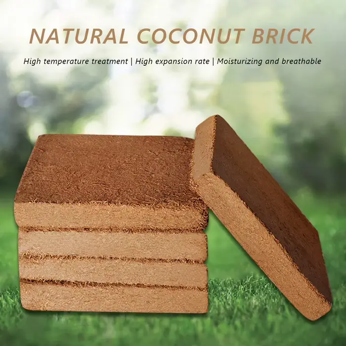 Bloc universel de plantes en fibres organiques, coquille de noix de coco, plantation pour Pot de fle