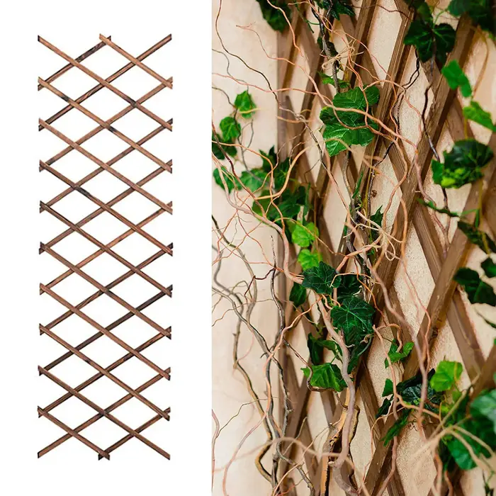Treillis extensible pour plantes grimpantes