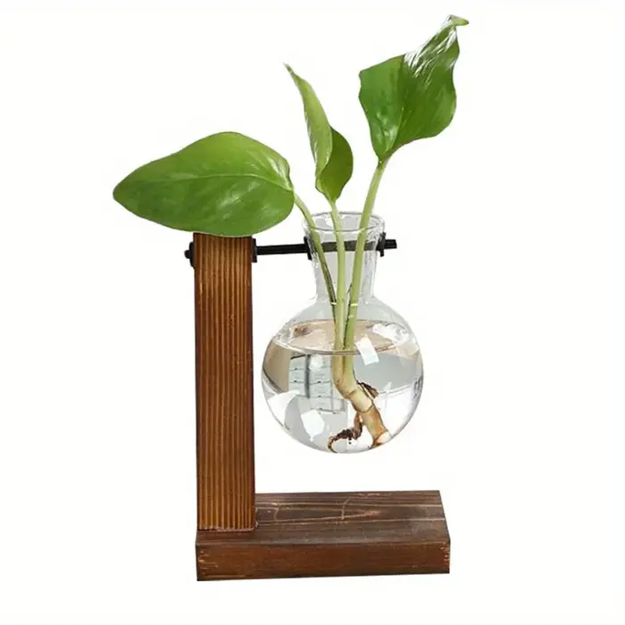 Vases à plantes hydroponiques, Vase Transparent, Pot de fleur Vintage, cadre en bois, plantes de tab