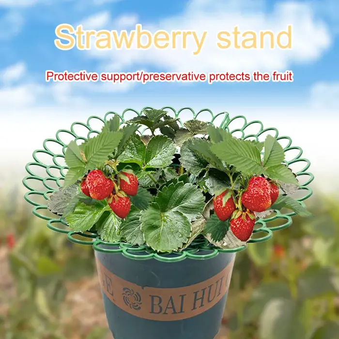 Supports de fraises, 5 pièces