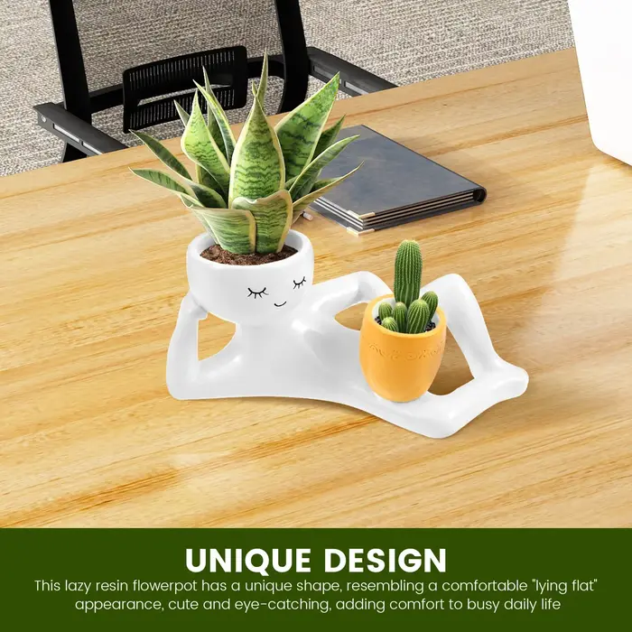 Pot de fleurs en résine amusant pour plantes succulentes avec trou de drainage, pot de fleurs de bureau, vase pour plantes vertes, décoration pour la maison et le bureau