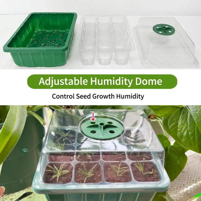 Plateau de démarrage de graines avec lumière pour plantes, kits de plateaux de démarrage surélevés p