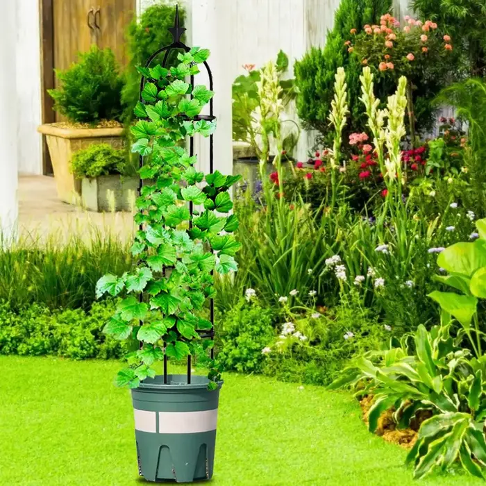 Obélisque de jardin en fer avec cadre en acier