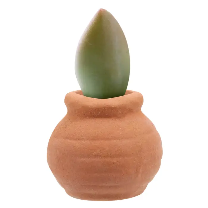 8 pots de jardin décoratifs d'extérieur