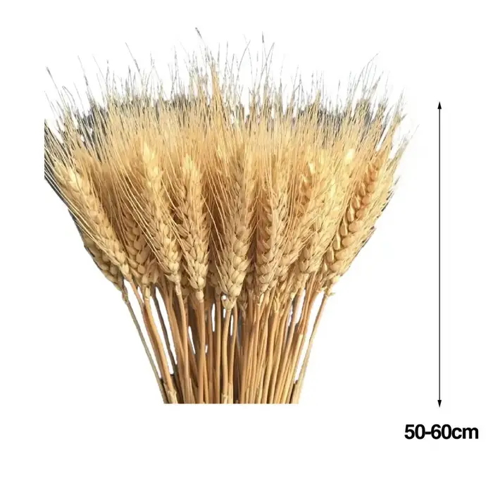 Kit de Fausses Plantes Artificielles de 50 à 60cm