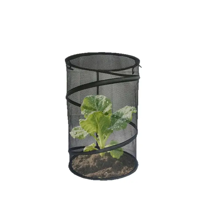 Filet de protection anti-insectes pour plantes