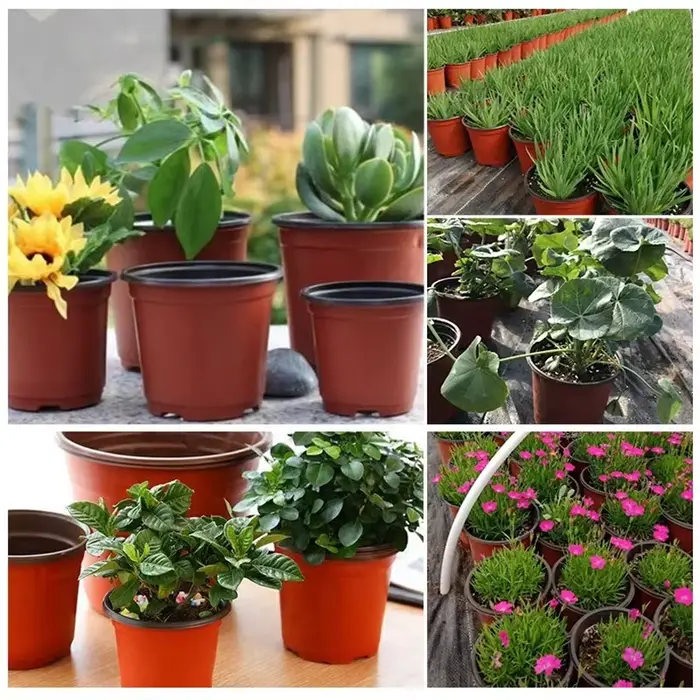 Pots de fleurs en plastique simples