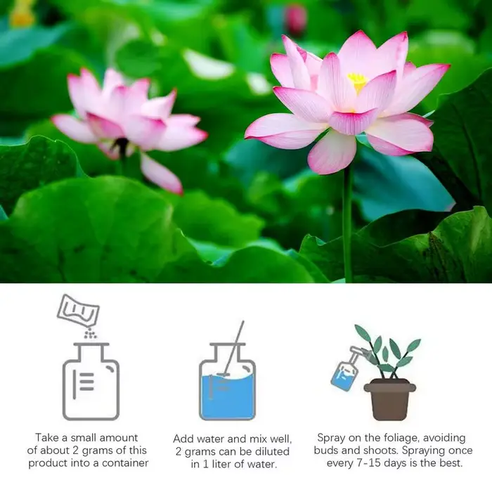 Fertilisateur de floraison de nénuphar naturel
