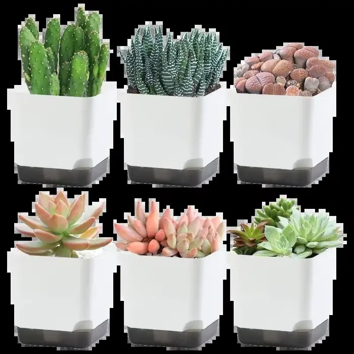 Pots de plantes 5 pièces