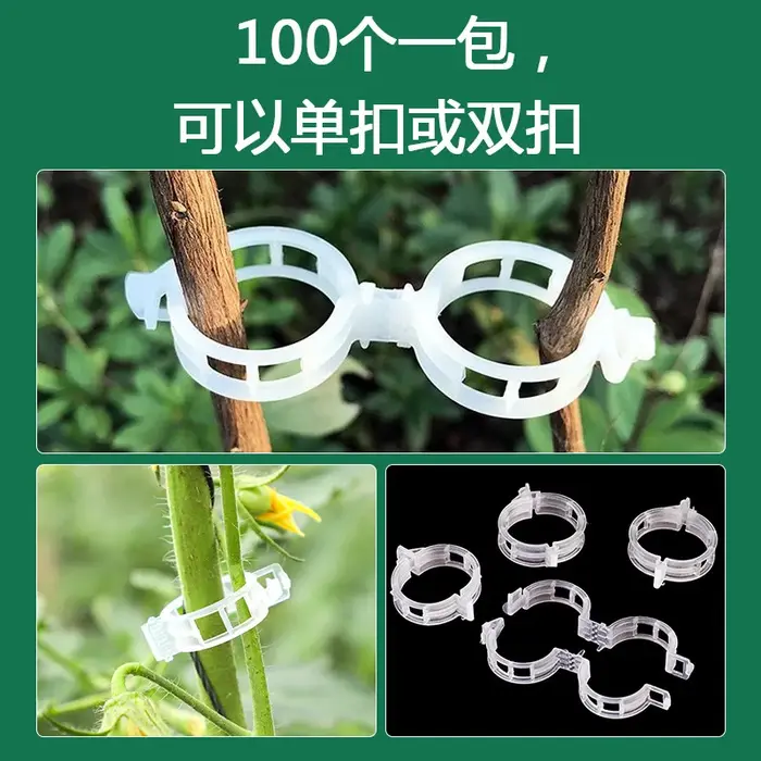 Clips de Support de plantes en plastique