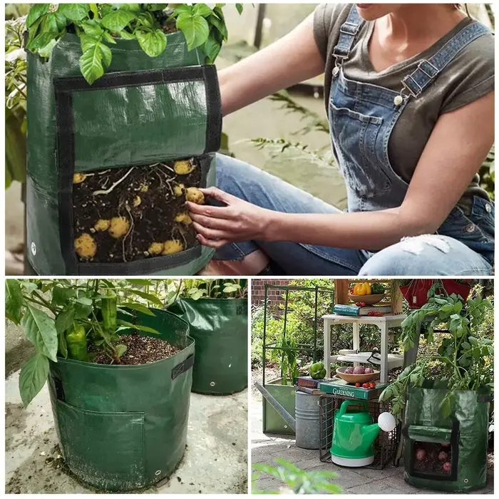 Sacs de culture de jardin 3/5/7/10 gallons, sacs de culture de pommes de terre, sacs de culture de plantes de jardinage, conteneur de jardinière de légumes et de carottes en tissu PE