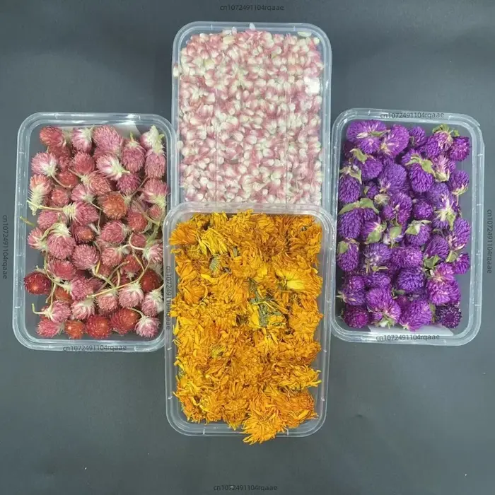 Fleurs séchées de jasmin et de rose naturelles de haute qualité pour la décoration de fêtes