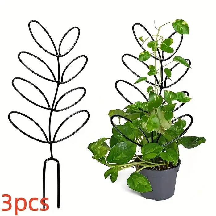 Cadre de Support pour plantes