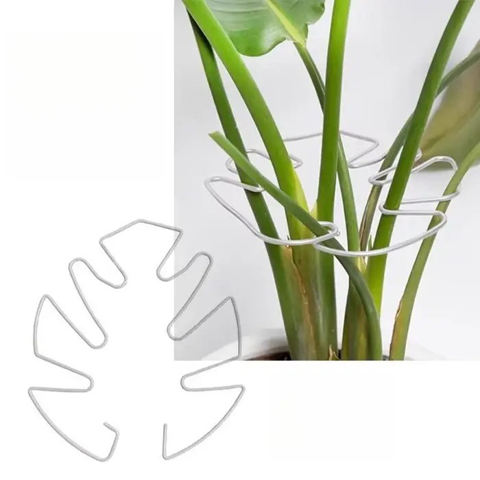 Support de tige de plante à usage intérieur et extérieur