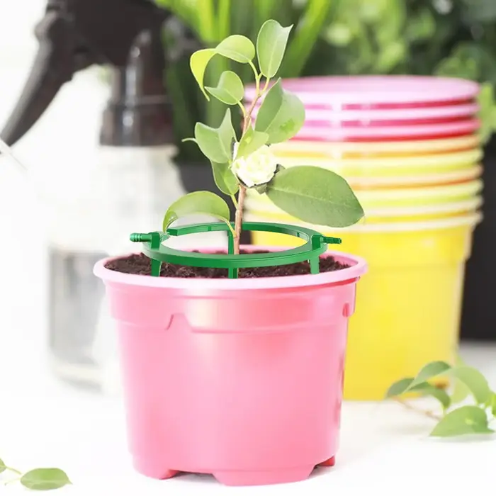 Anneaux d'irrigation pour plantes