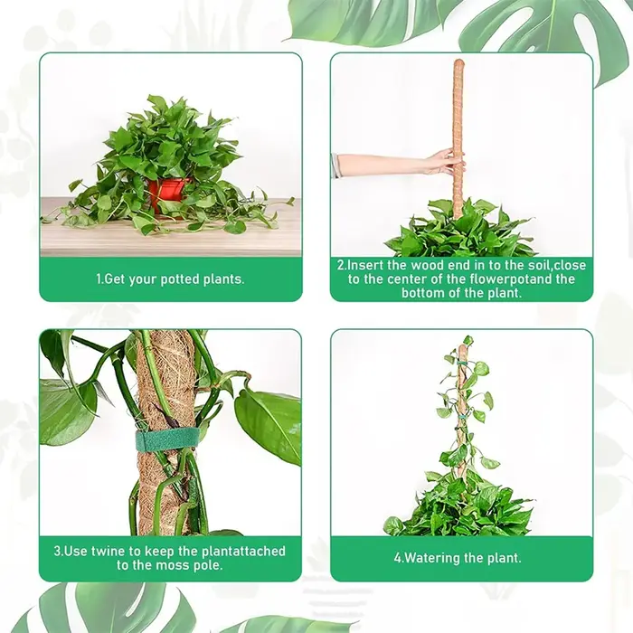 Échafaudage de plantes déformable