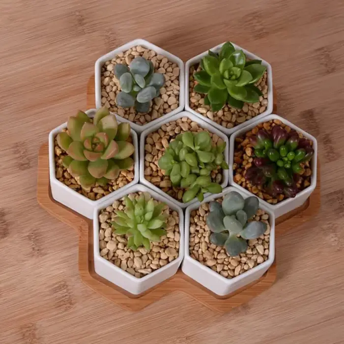 Pot de fleurs hexagonal en céramique blanche avec support en bambou