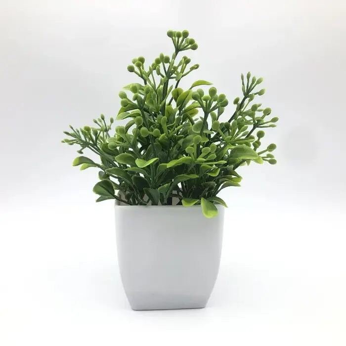 Simulation de plante verte