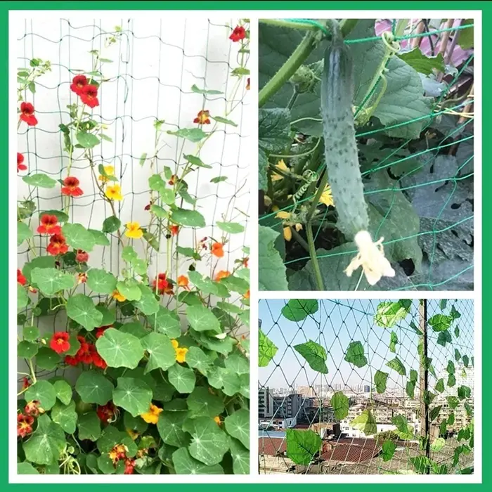Nouvelle treillis de plantes robuste en polyester et nylon