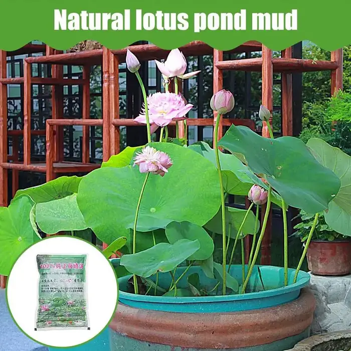 Boue nutritionnelle pour pot d'étang aquatique, pour plantes de nénuphar, médias de culture pour nénuphars, fournitures de jardinage de Lotus