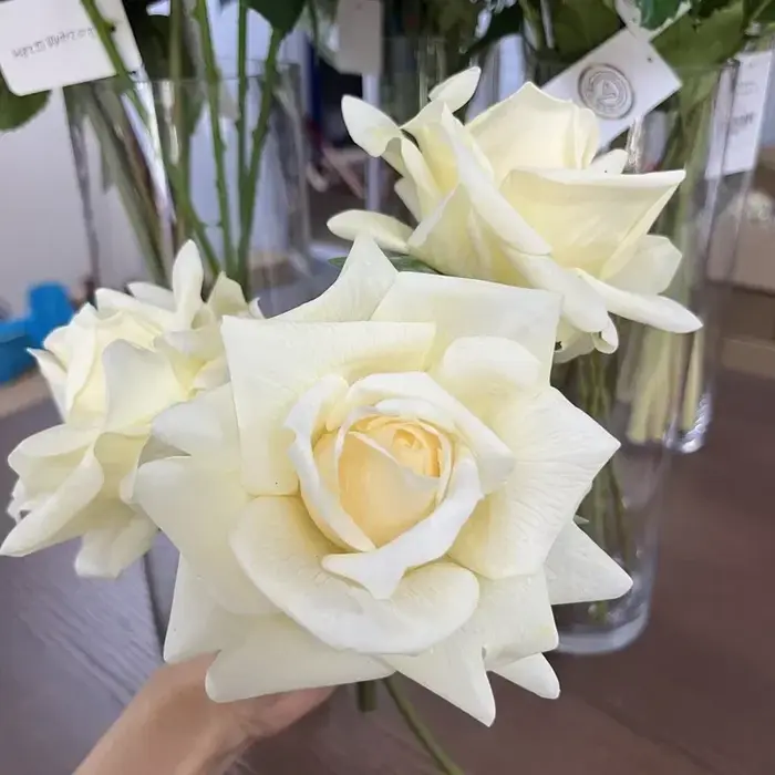 Roses artificielles hydratantes au toucher