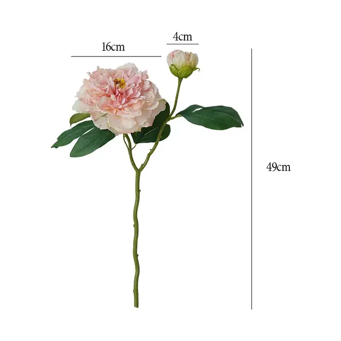 Fleurs de Simulation de pivoine