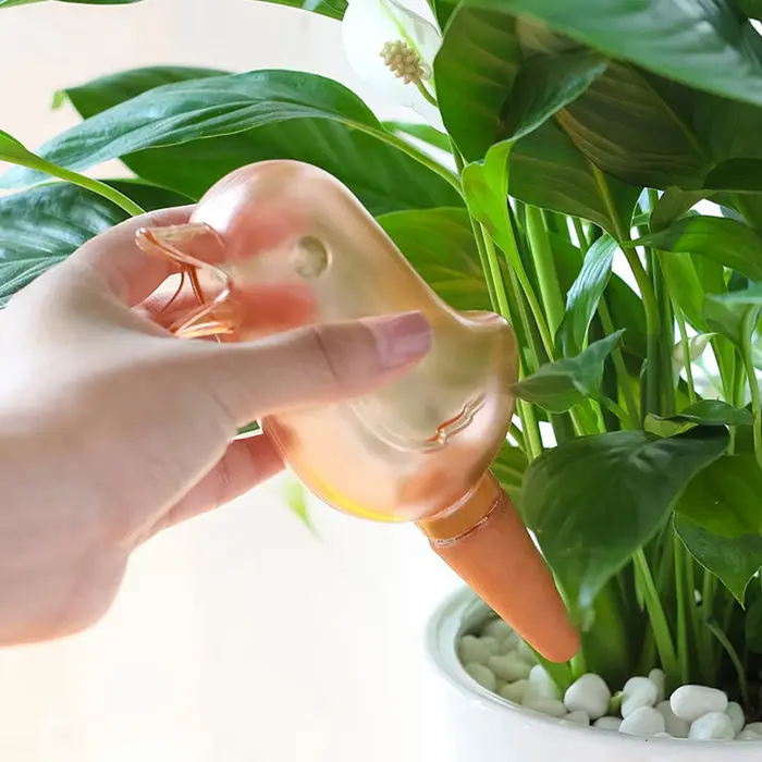 Arrosage automatique des plantes