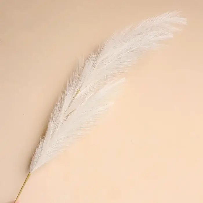 Grande pampa pelucheuse pour la décoration de la maison et de la chambre