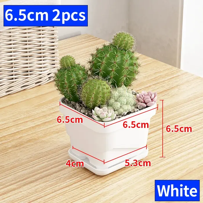 Pot à succulentes minimaliste nordique avec plateau, jardinière en plastique épaissi pour cactus, pl