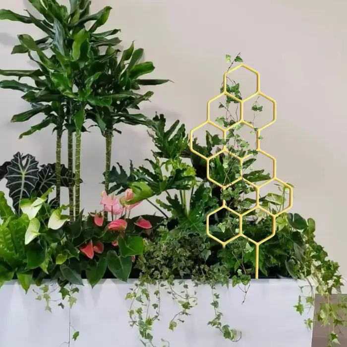 Treillis pour plantes grimpantes