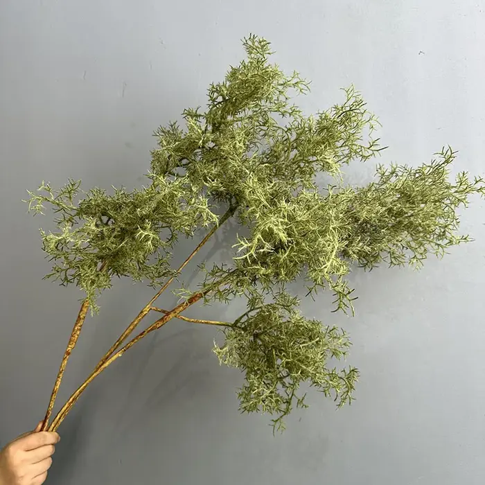 Plantes vertes enrichies de brume artificielle