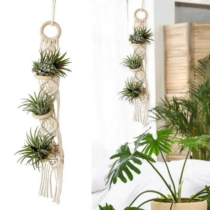 Porte-plantes en macramé pour salon intérieur
