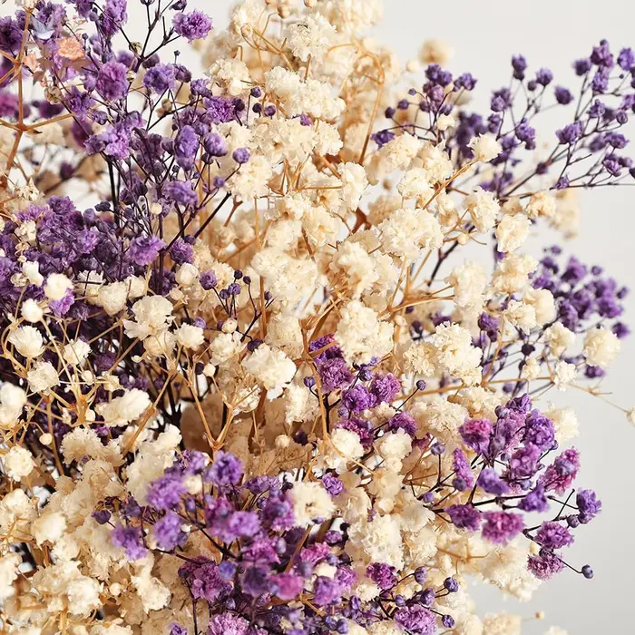 Bouquet de fleurs séchées naturelles Gypsophila (Souffle de bébé) 120g