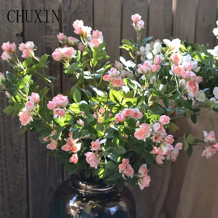 Mini Bouquet de roses, plantes