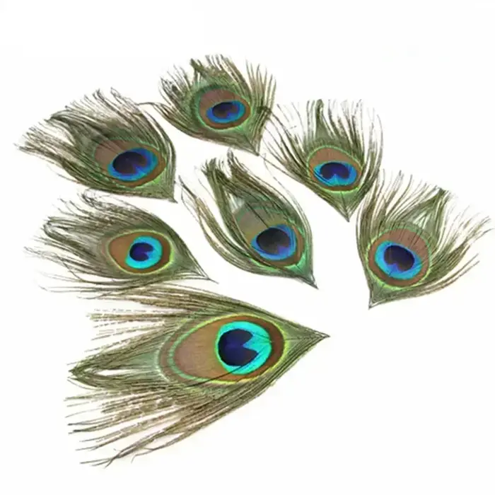 Plumes de paon naturelles pour la création de bijoux
